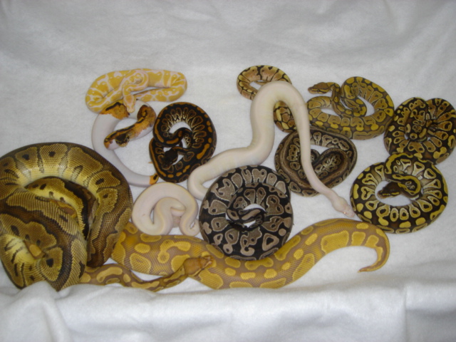 group picture