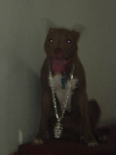 DIAMOND ICED OUT
