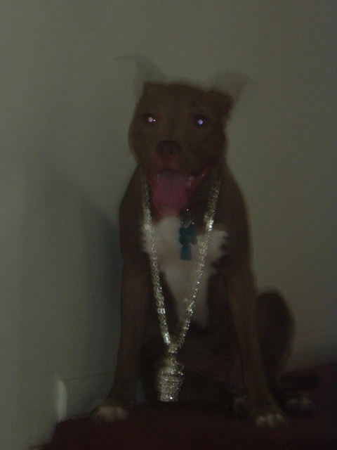 DIAMOND ICED OUT