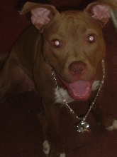 Diamond head shot with her basketball chain neckless
