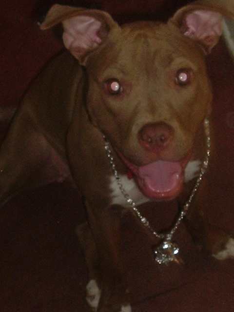Diamond head shot with her basketball chain neckless