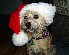 Merry Christmas!!