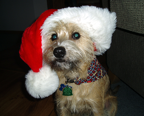 Merry Christmas!!