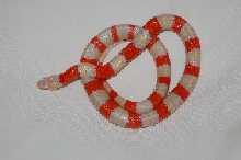 Albino Honduran 3