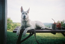 lounging out on the picnic table