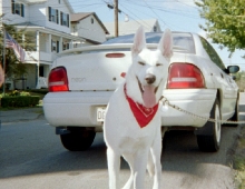mr Cirrus