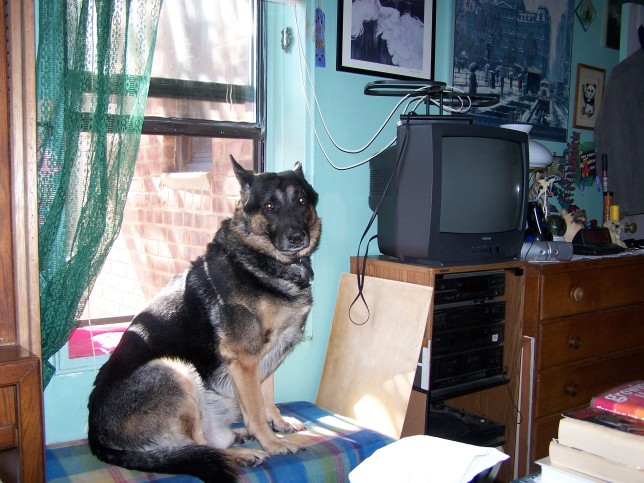 Okay, I'll pose, but make it quick!