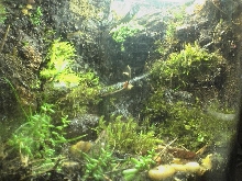 2.5Gallon