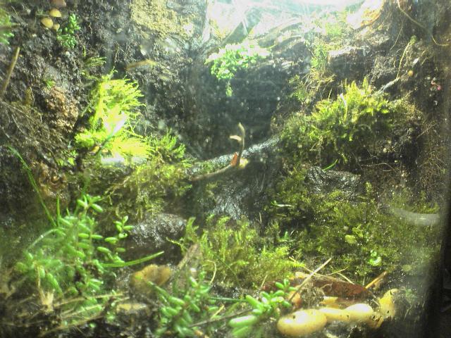 2.5Gallon