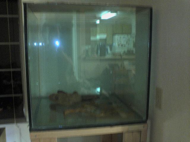New 2x2 40gallon Cube tank