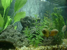 My 3 Oscars