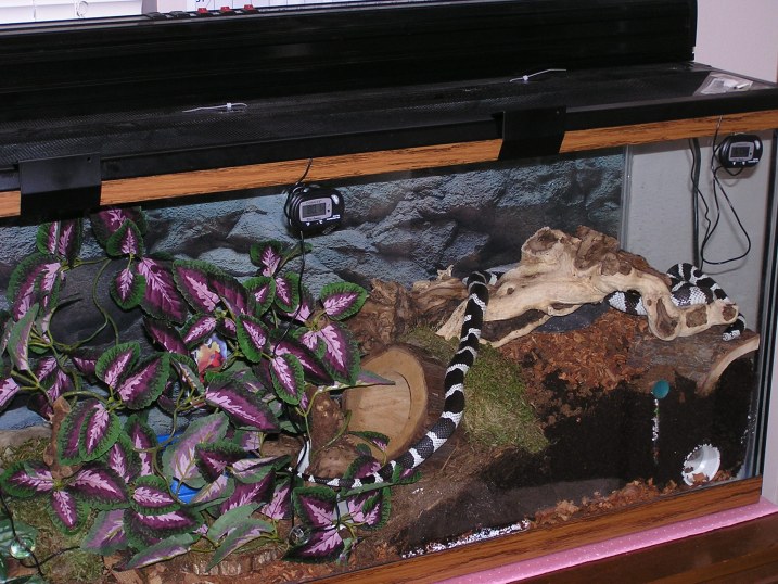 Cal King in cage