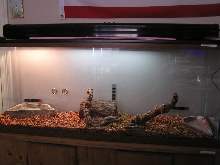 My ball python's cage