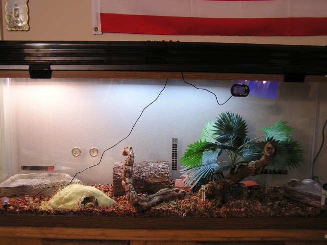 BP cage 3 Nov 05
