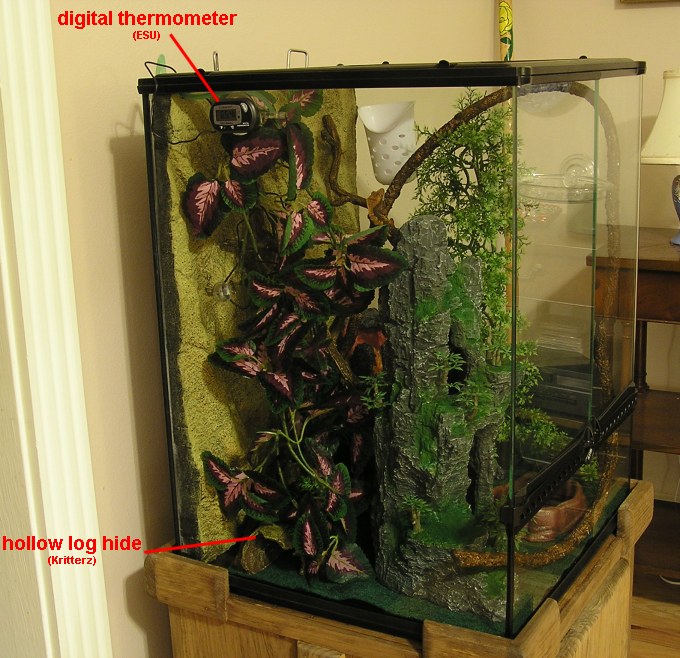 Crestie cage
