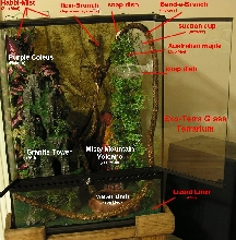 Crestie cage