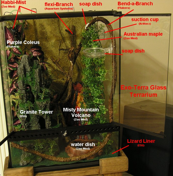 Crestie cage