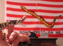 Funny shot