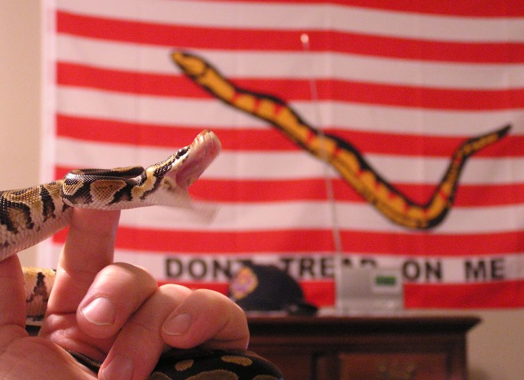Funny shot