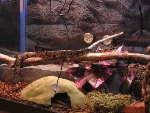 Katrina on her new branch