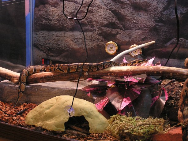 Katrina on her new branch