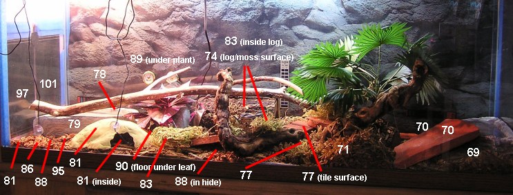 Temperatures in ball python cage 13 Dec 05