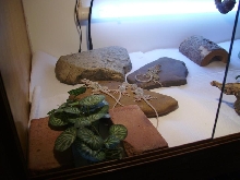 Our 4 babies