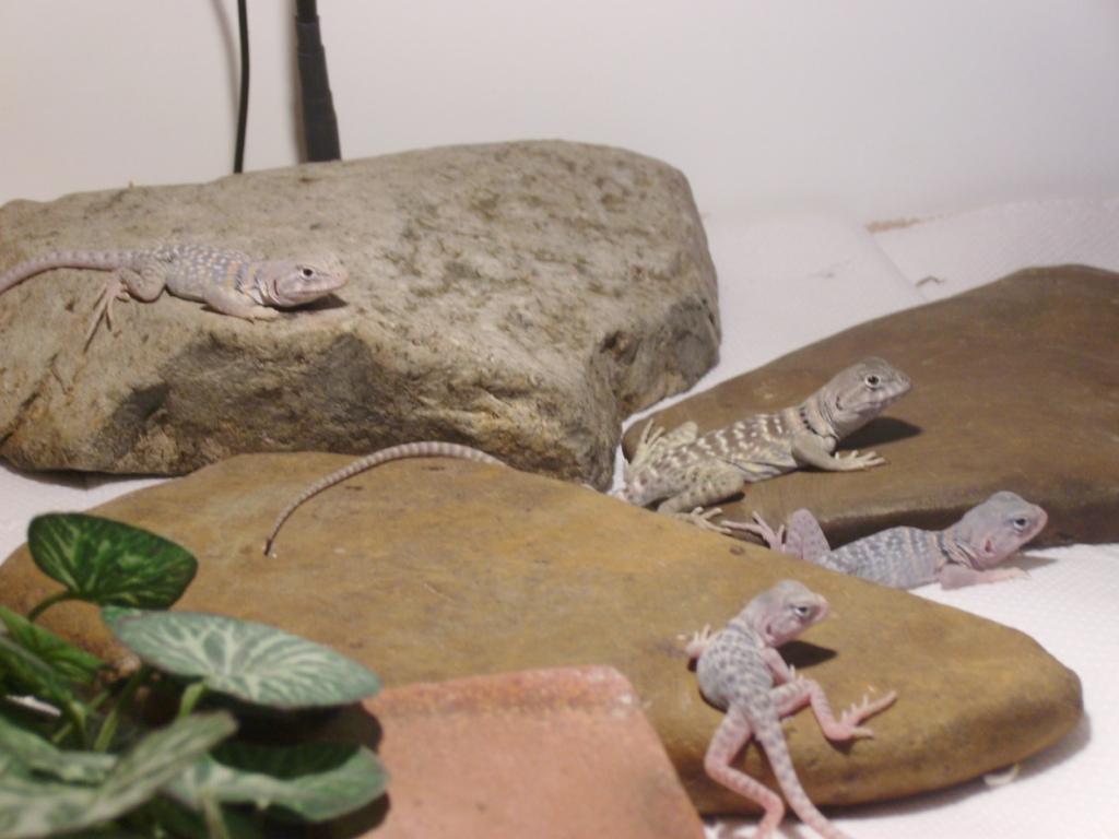 More of our 4 babies