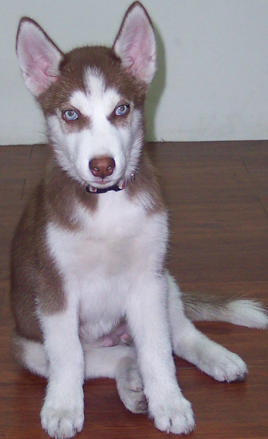 Chani 4 months chilling