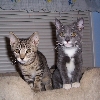Annie & Andy