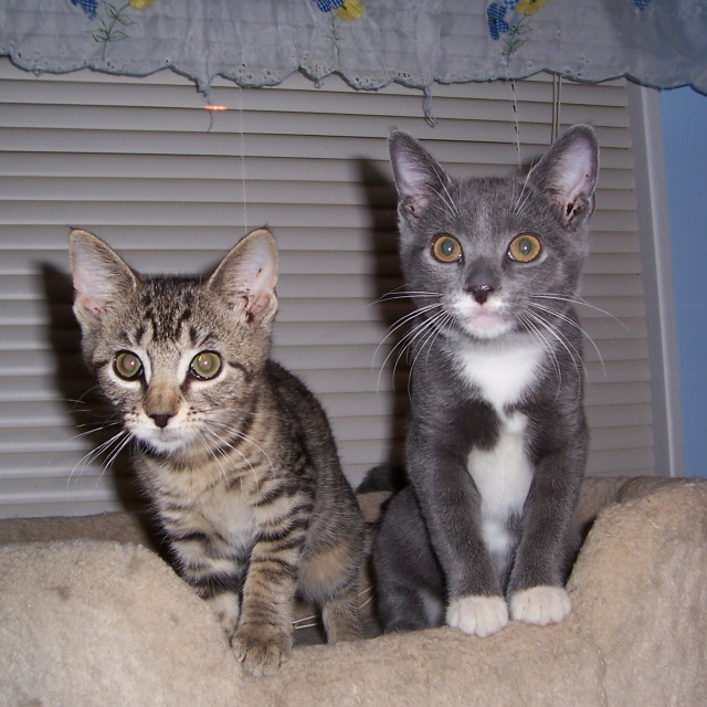 Annie & Andy