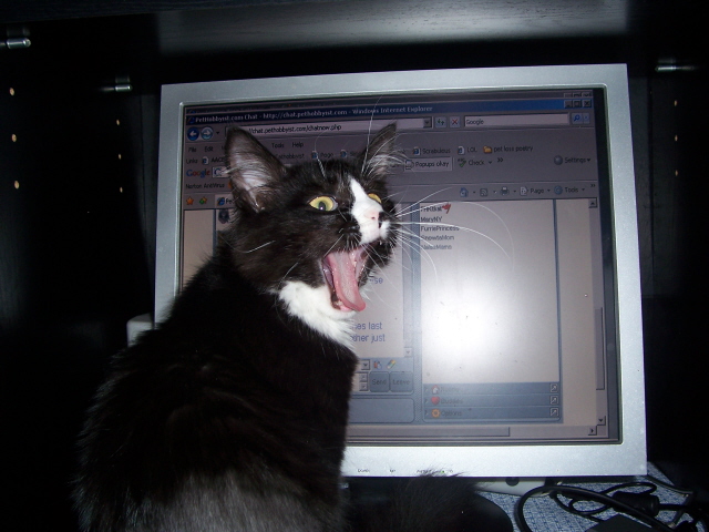 MOL!