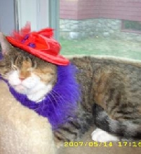 Red Hat Day
