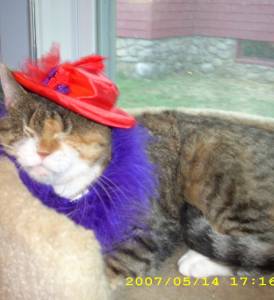 Red Hat Day