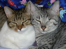 Sprite and Hasani Ra (Sunny)