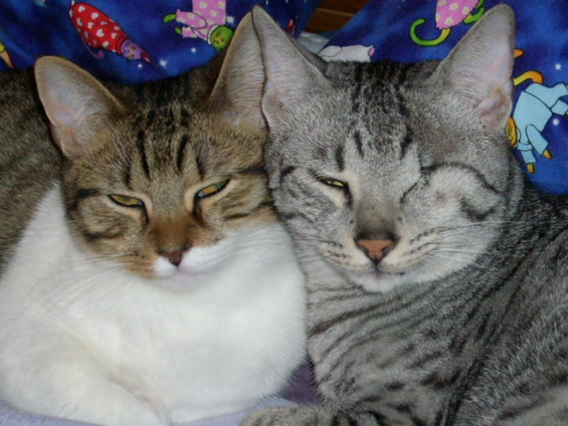 Sprite and Hasani Ra (Sunny)