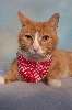 KC the farm boy