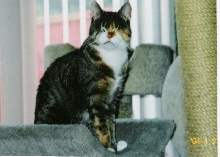 Lucy-Lou