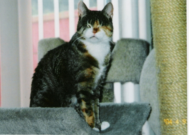 Lucy-Lou