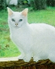 Kaspar