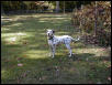 george waiting for the ball