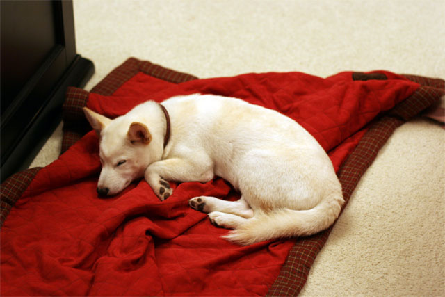 Sleep Time Inara