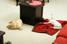 Both Asleep