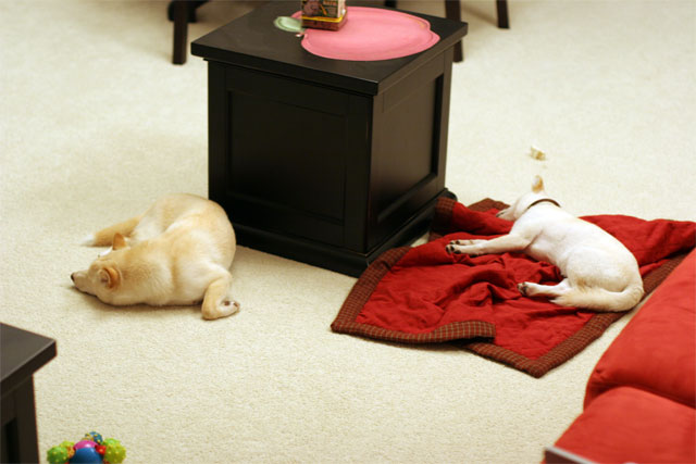 Both Asleep