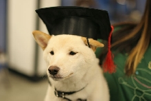 Graduation