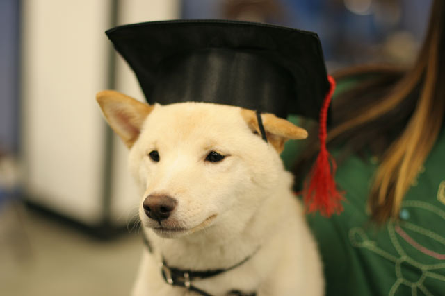 Graduation