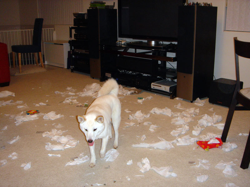 Tissue Mess