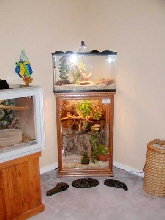 My herp room