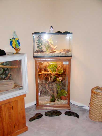 My herp room