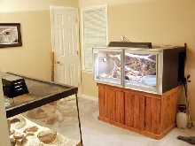 Another herp room shot